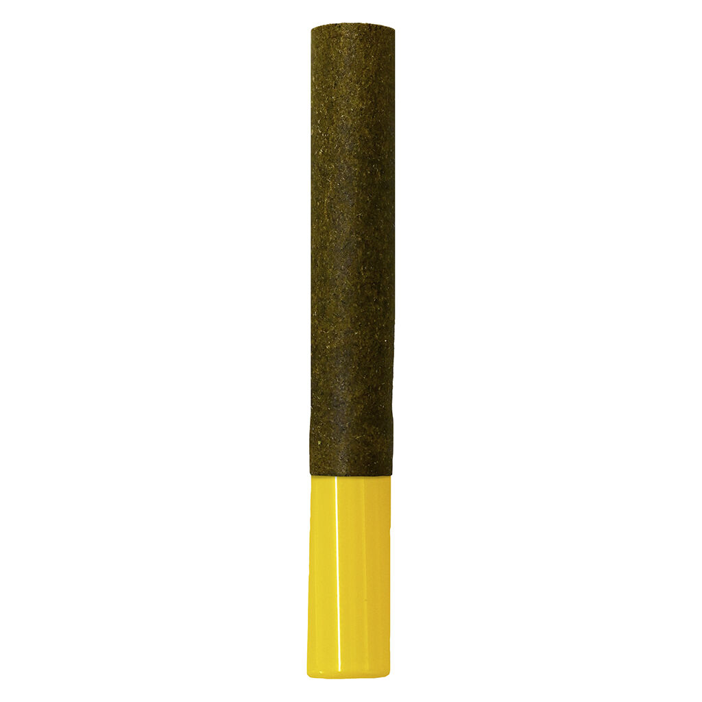 Hash Wrap Indica Infused Pre-Roll