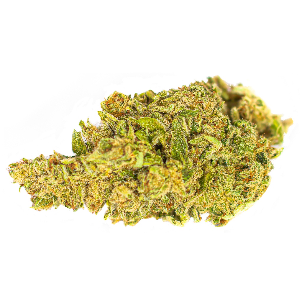 White Shark