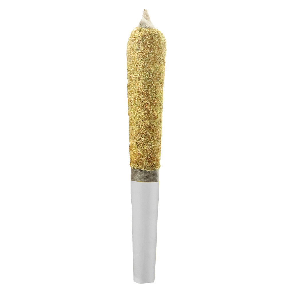 Box Hot-Dusties Retro Rocket Fuel Kief Infused pre roll