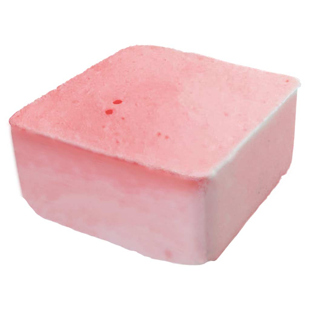 Astronaut Strawberry Sorbet 2