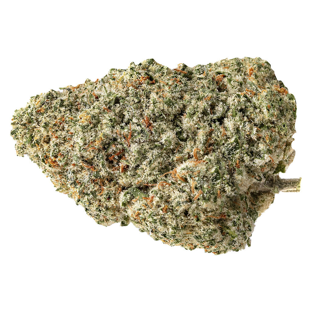 Fraser valley weed co- top crop Indica