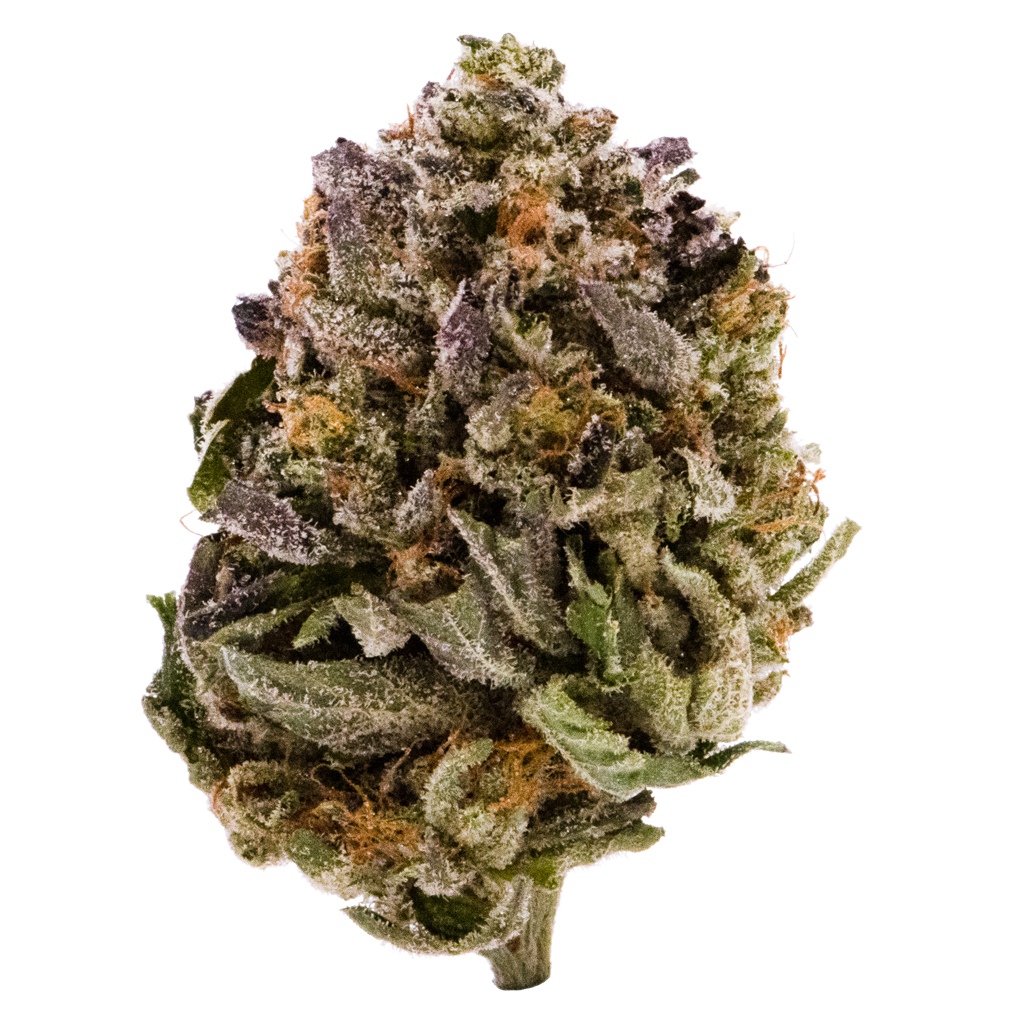 Pink Kush