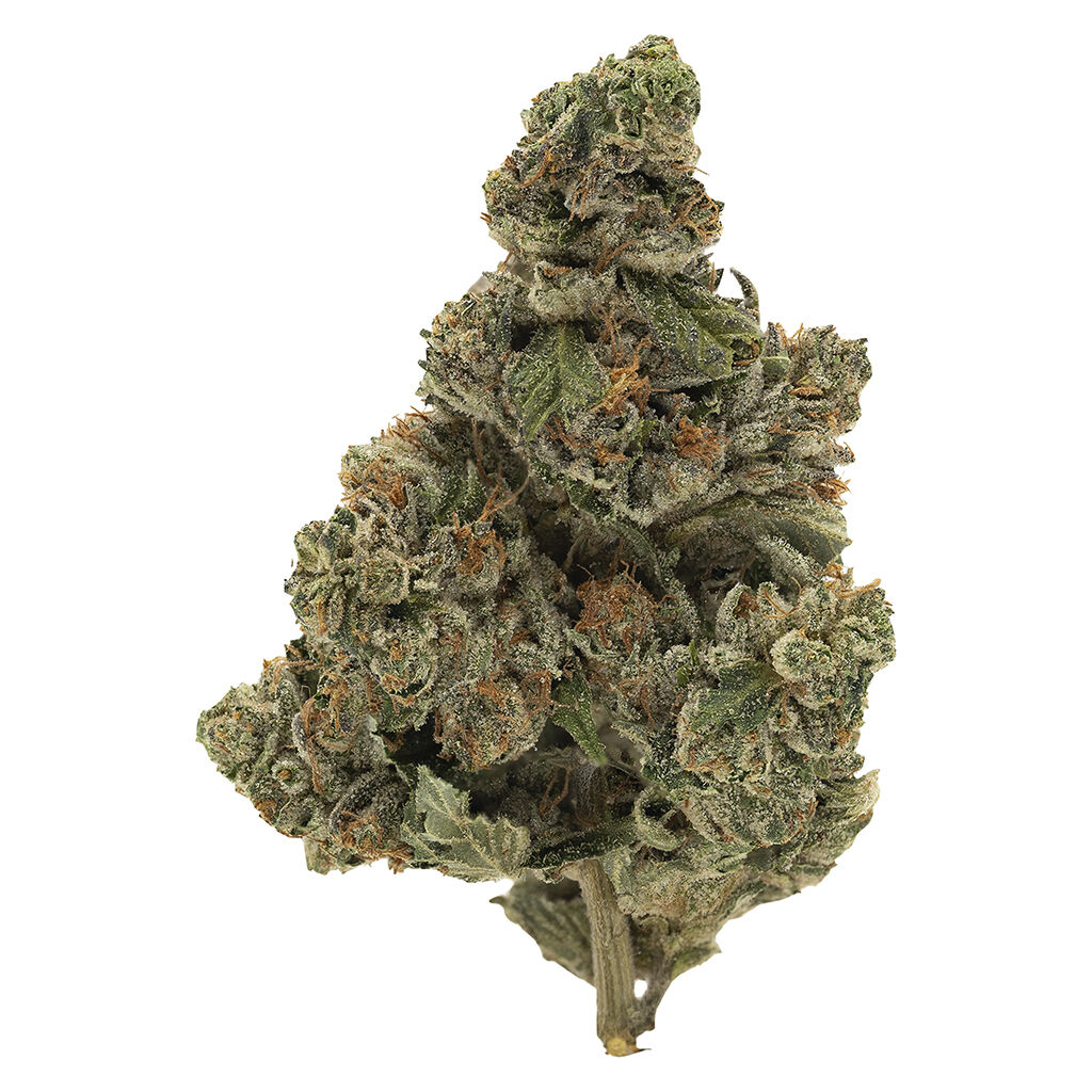 Bc Organic Kraken Lto 2