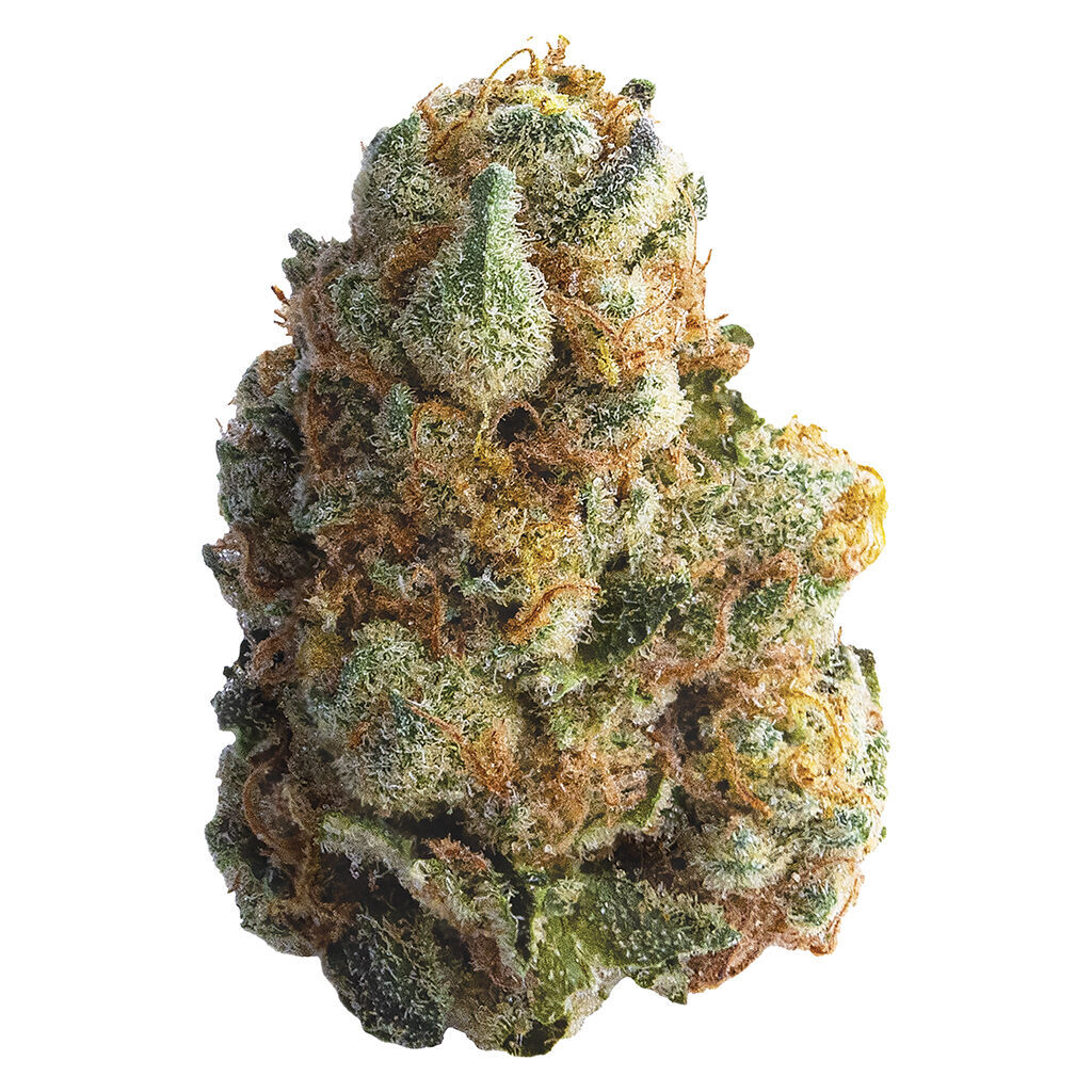 Spinach-GMO Cookies
