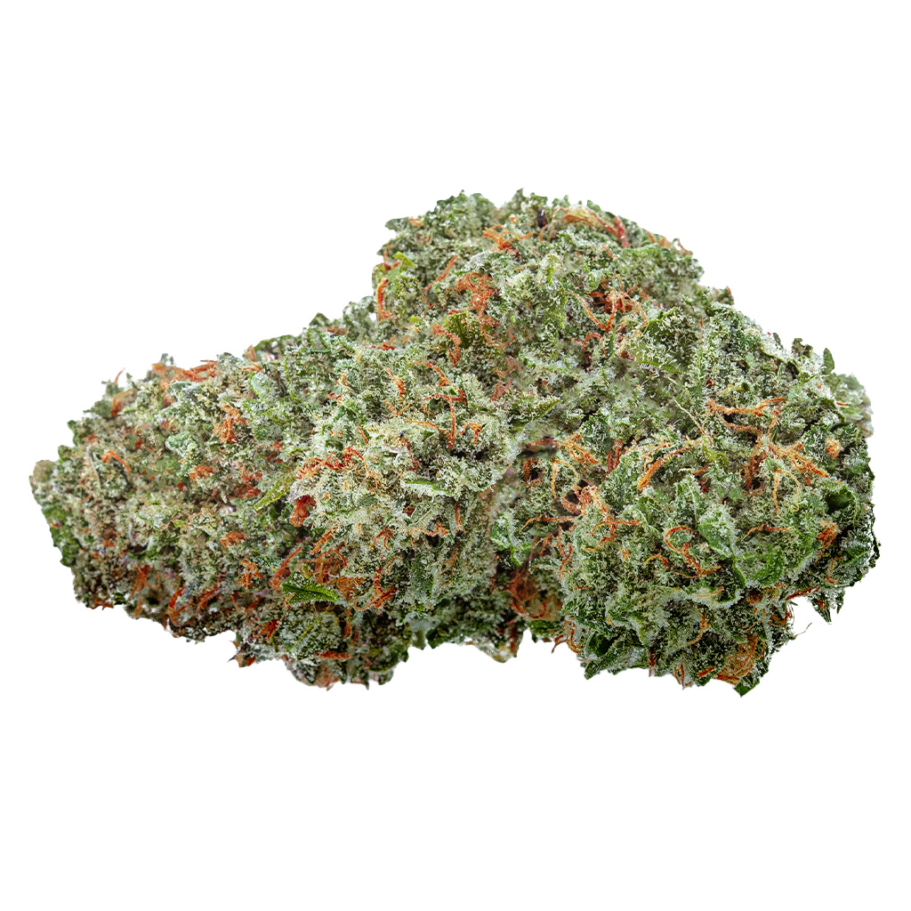 Organic Sugar Bush 2