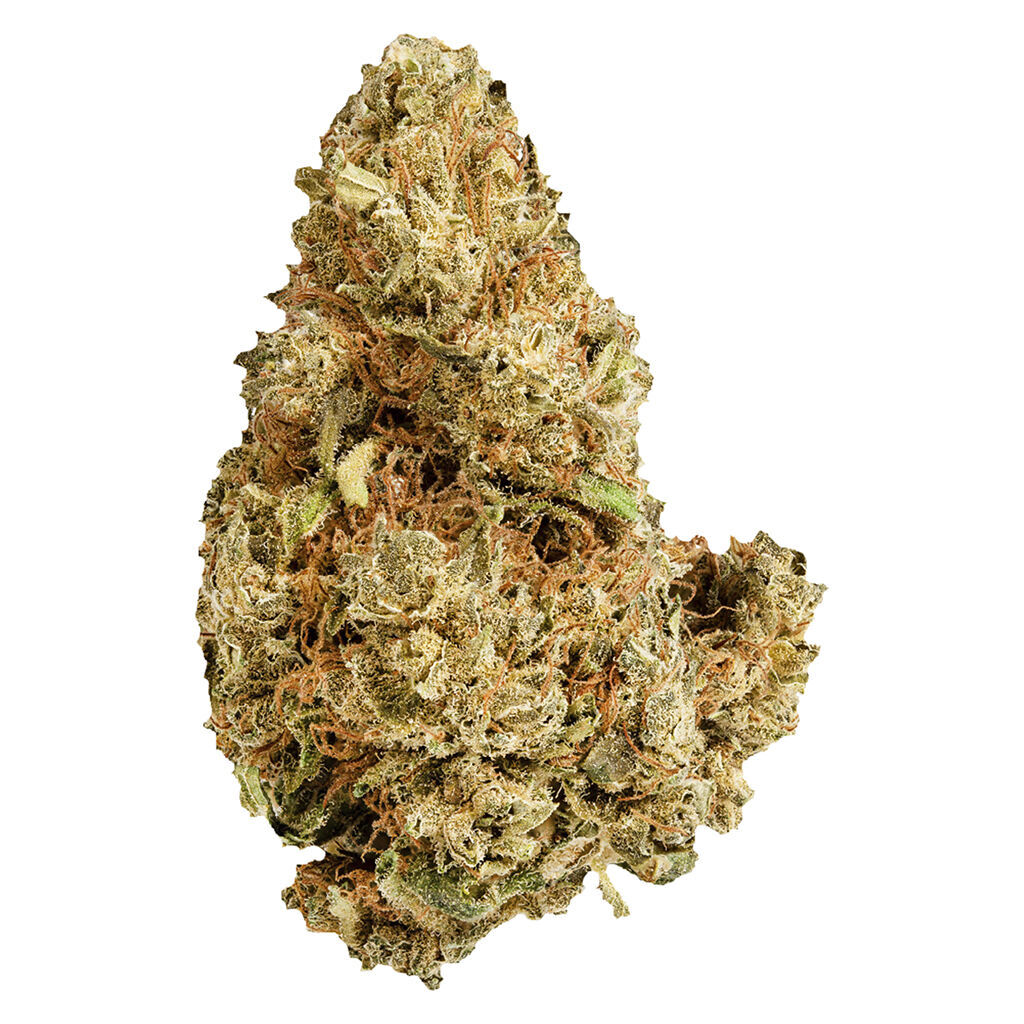 Purple Afghani