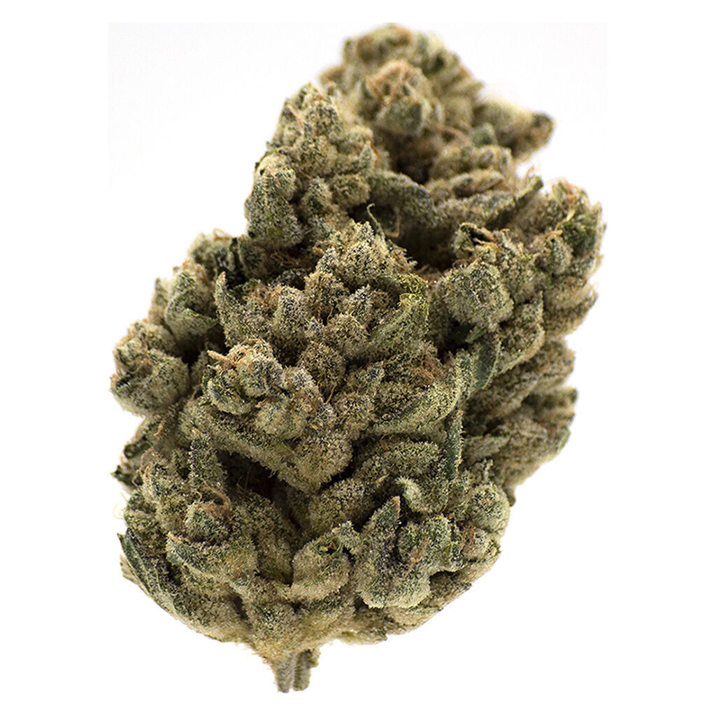 MTL Cannabis- Jungl Cake