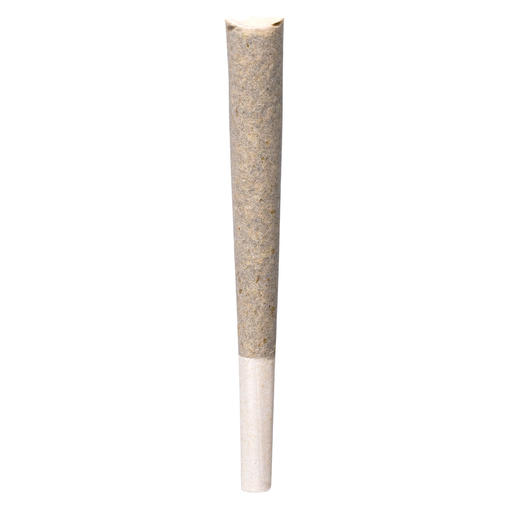Rainbow P Pre-Roll