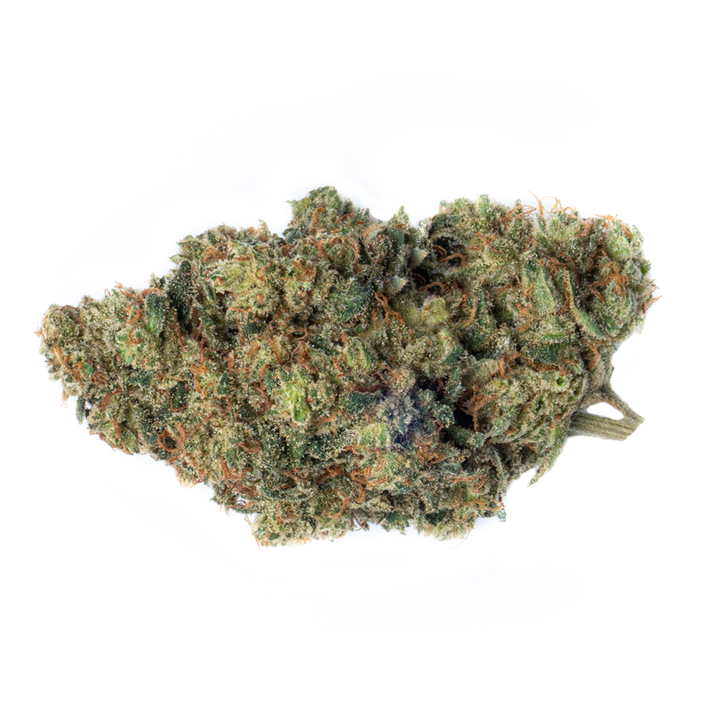 Sour Sis 2