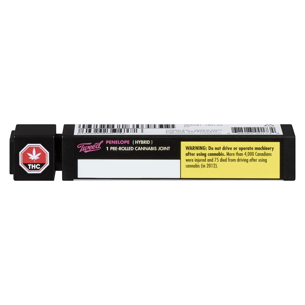 Penelope Pre-Roll 2