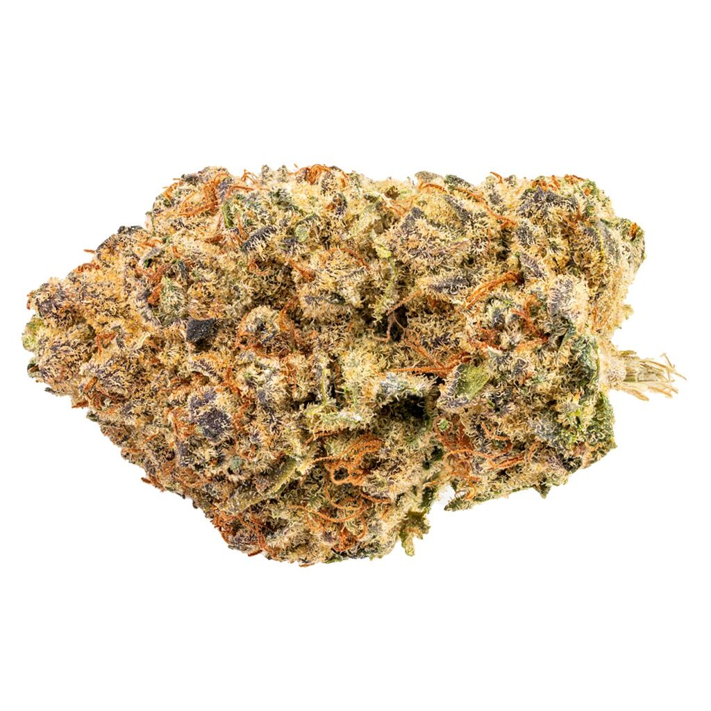 Indica! 2