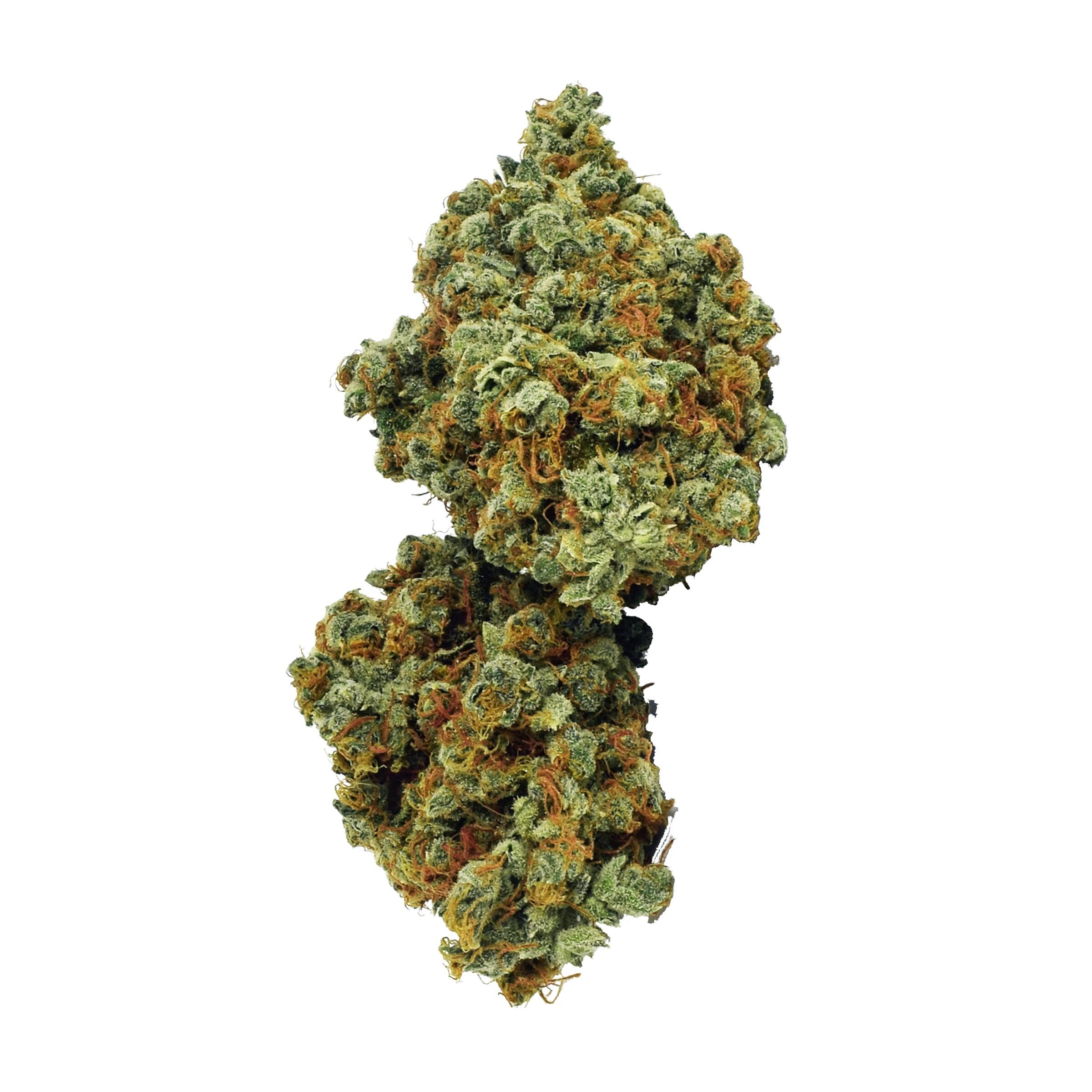 Northern Lights Haze