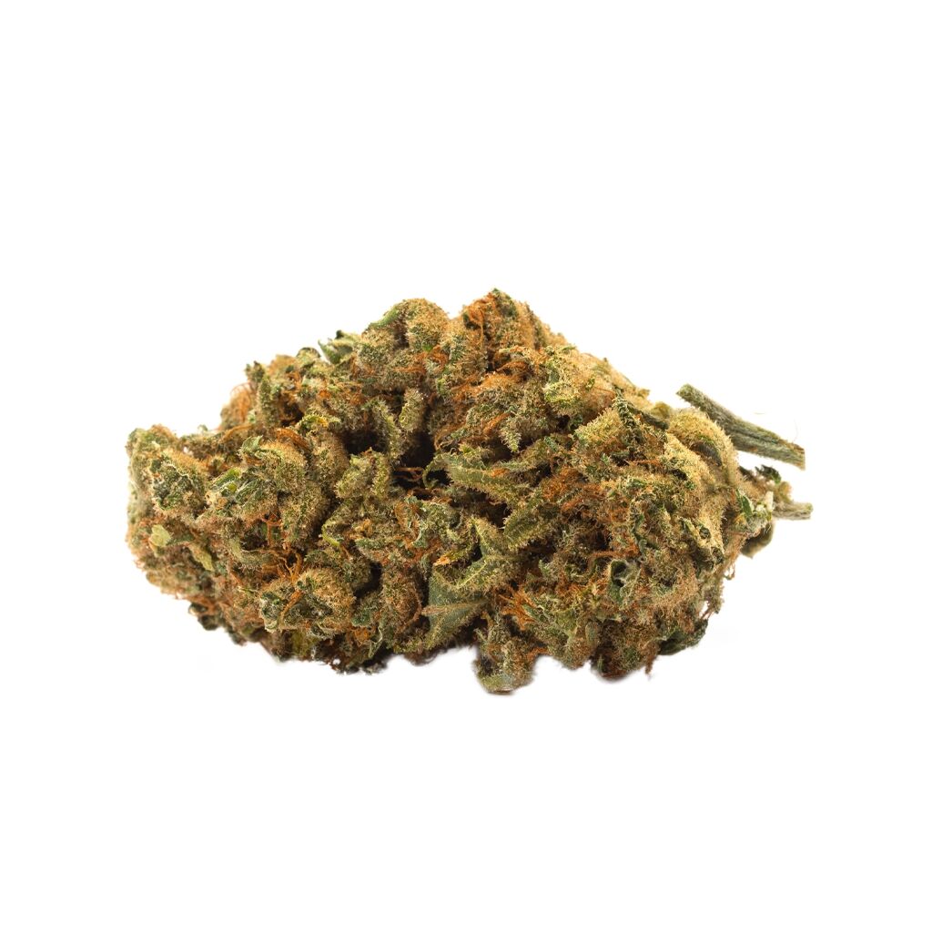 Twd Indica 4
