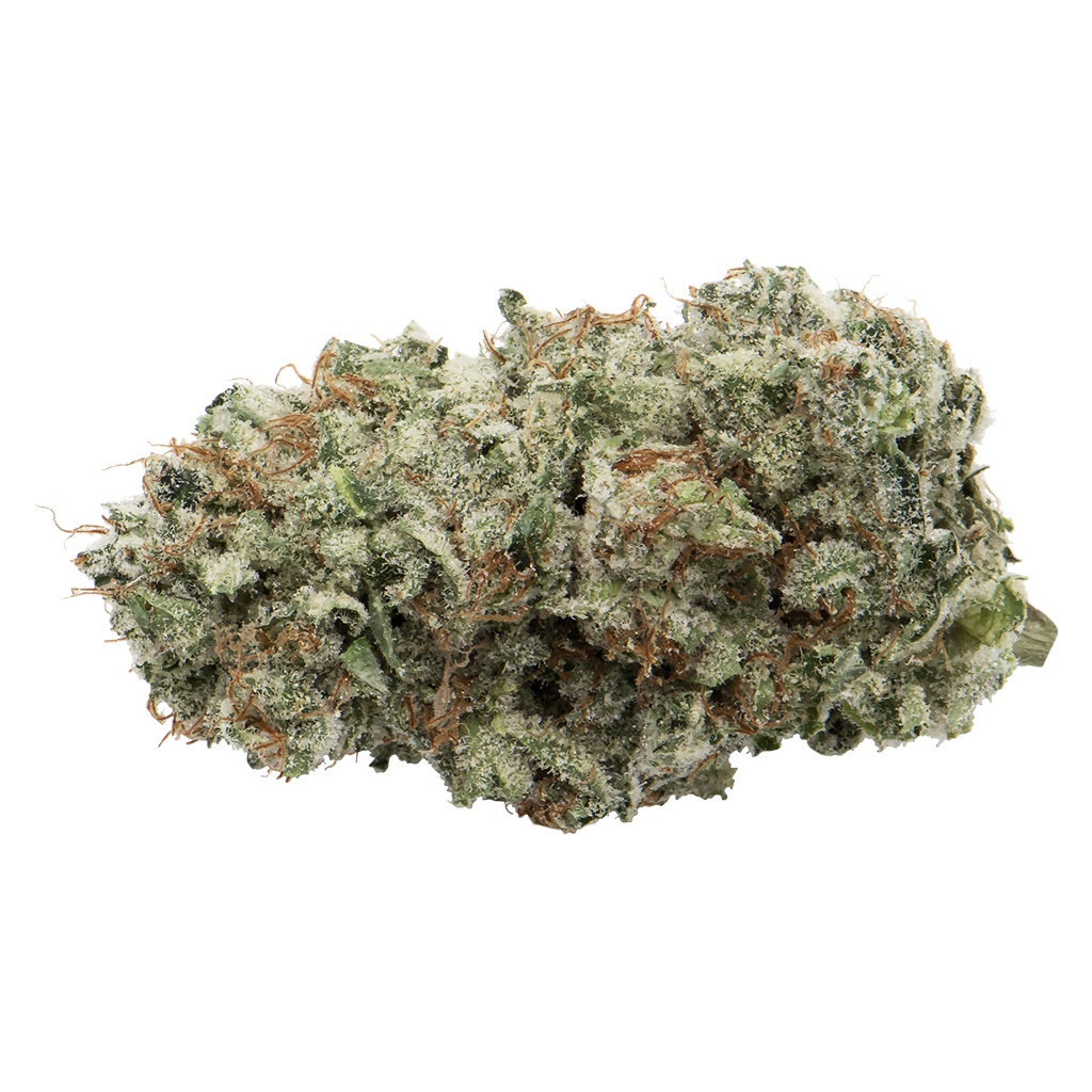 Afghani Drifter 2