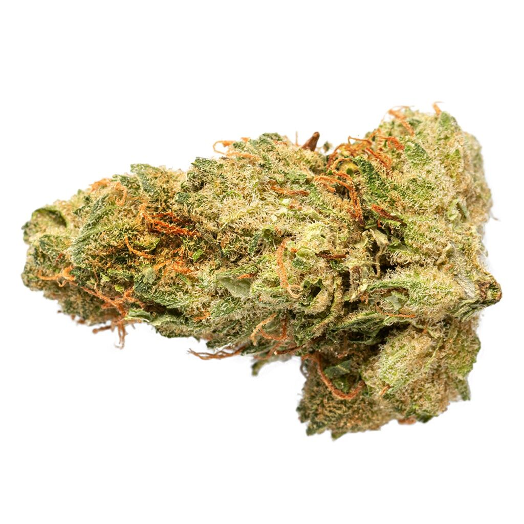 Sativa 2