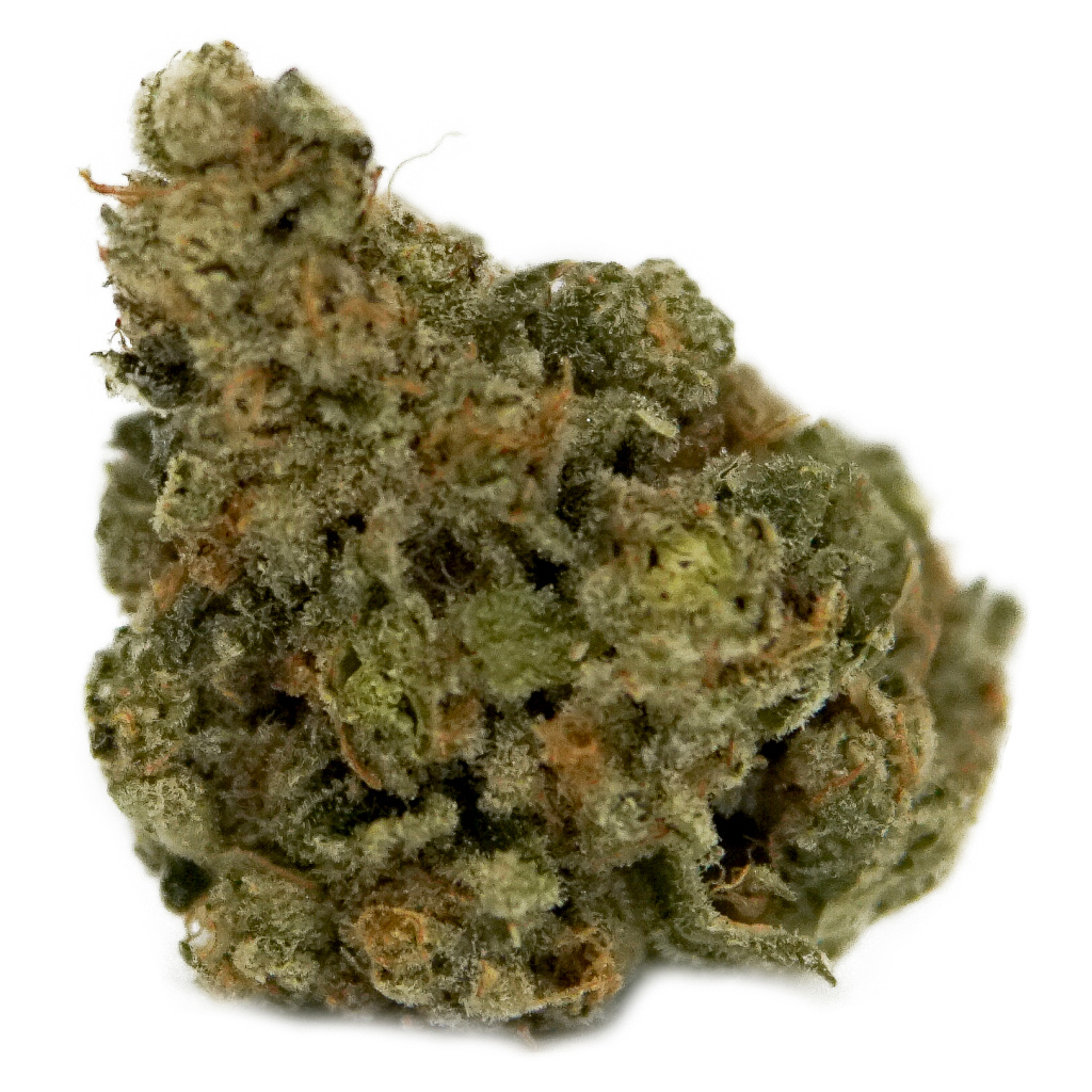 Master Kush 2