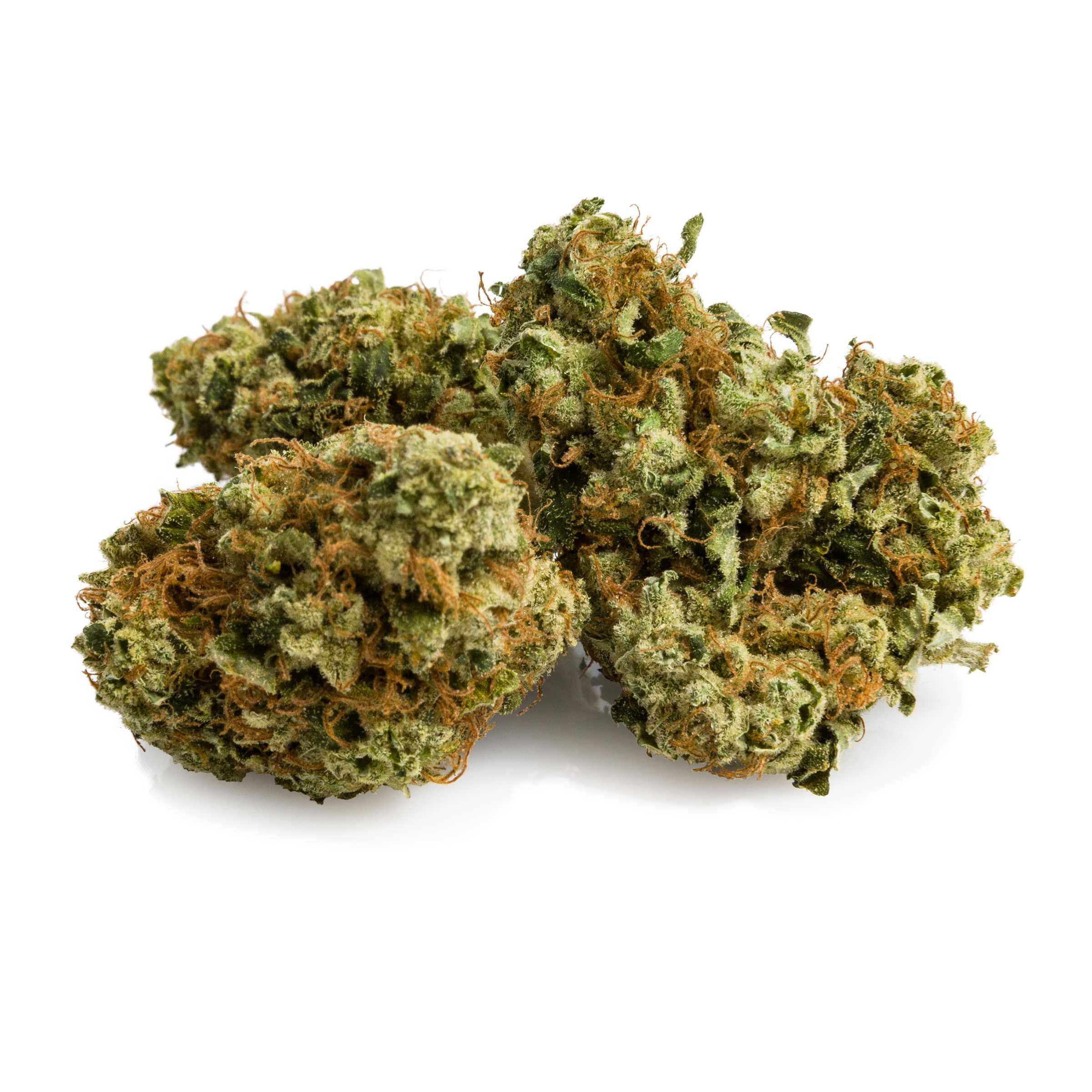 Mk Ultra 4