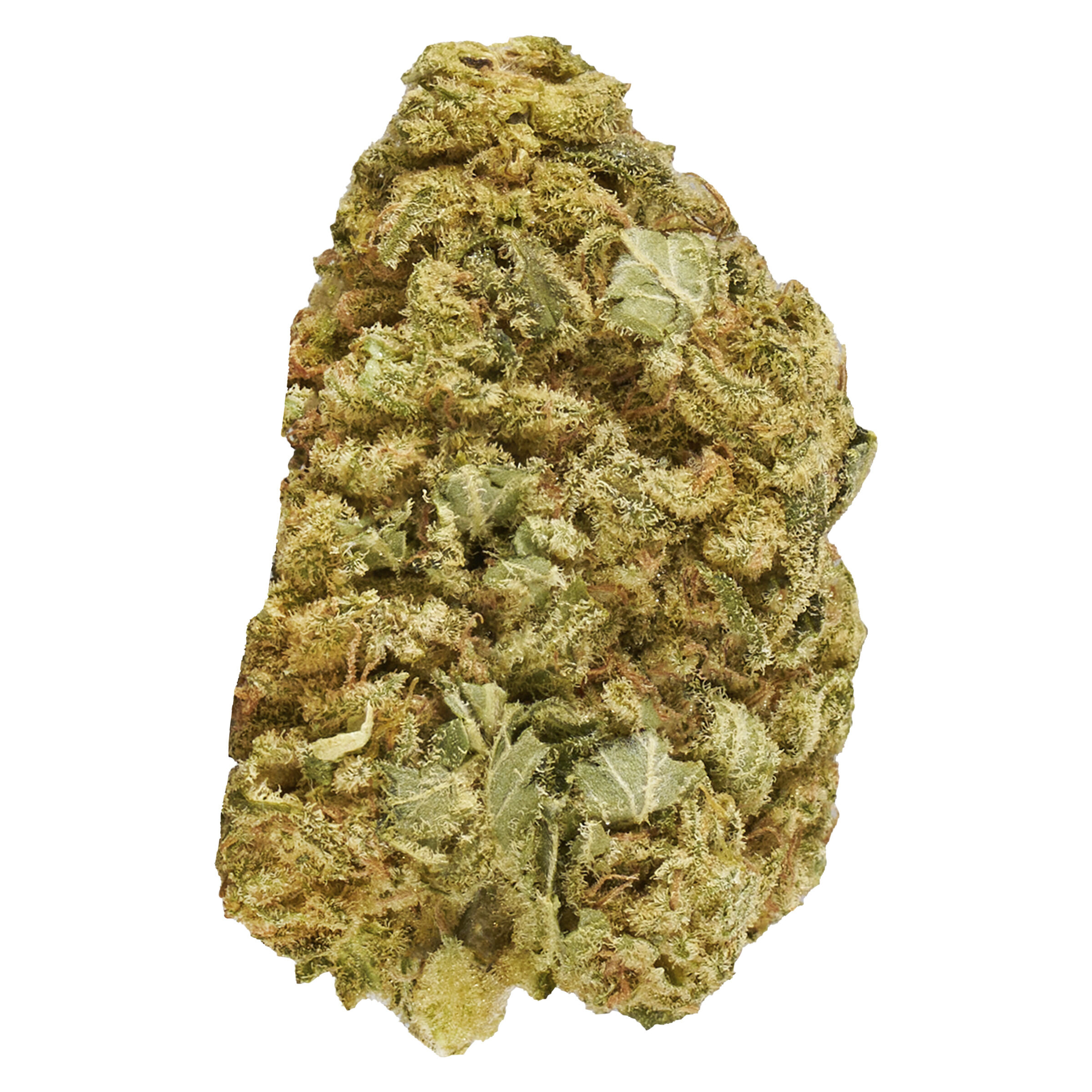 Master Mazar Kush 7G