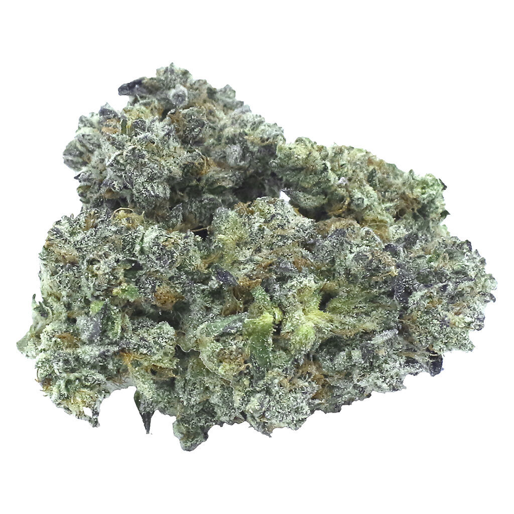 Granddaddy Gelatti