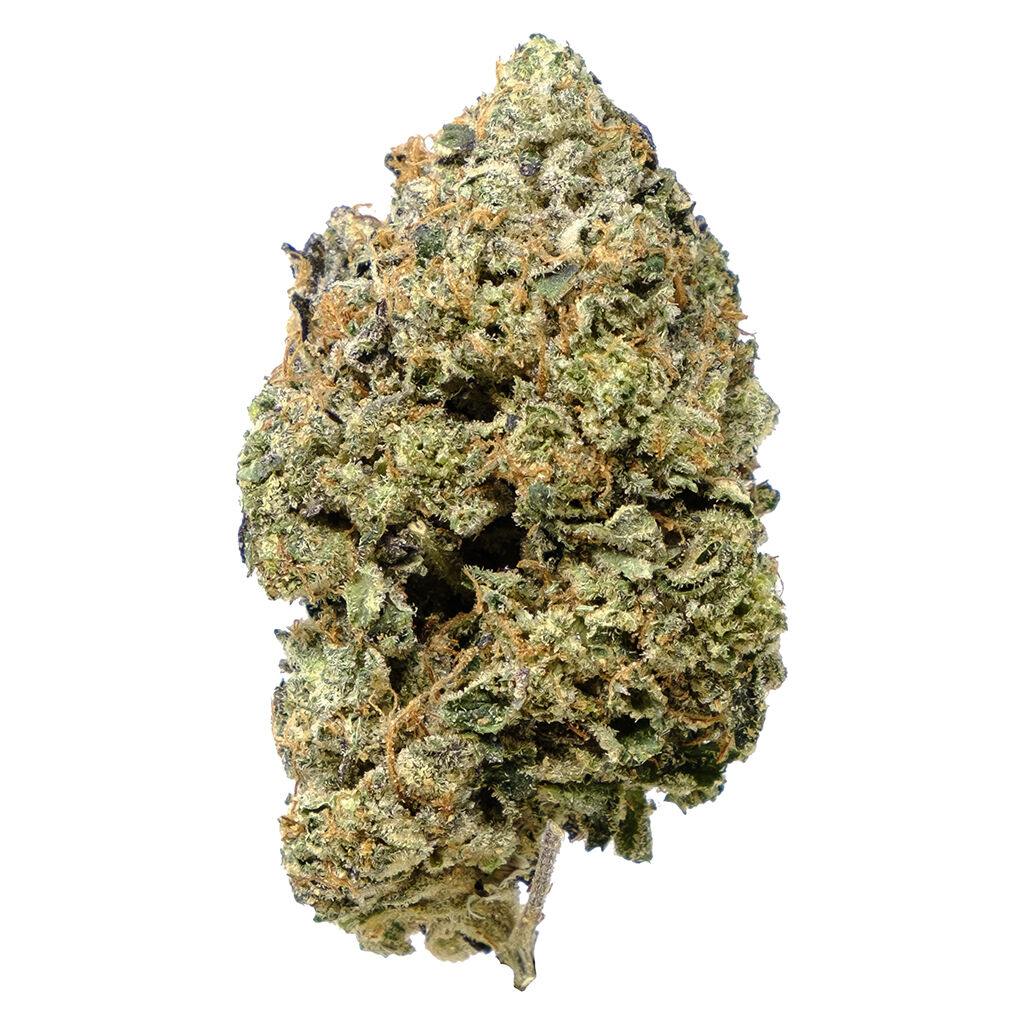 Pistol & Paris 7g