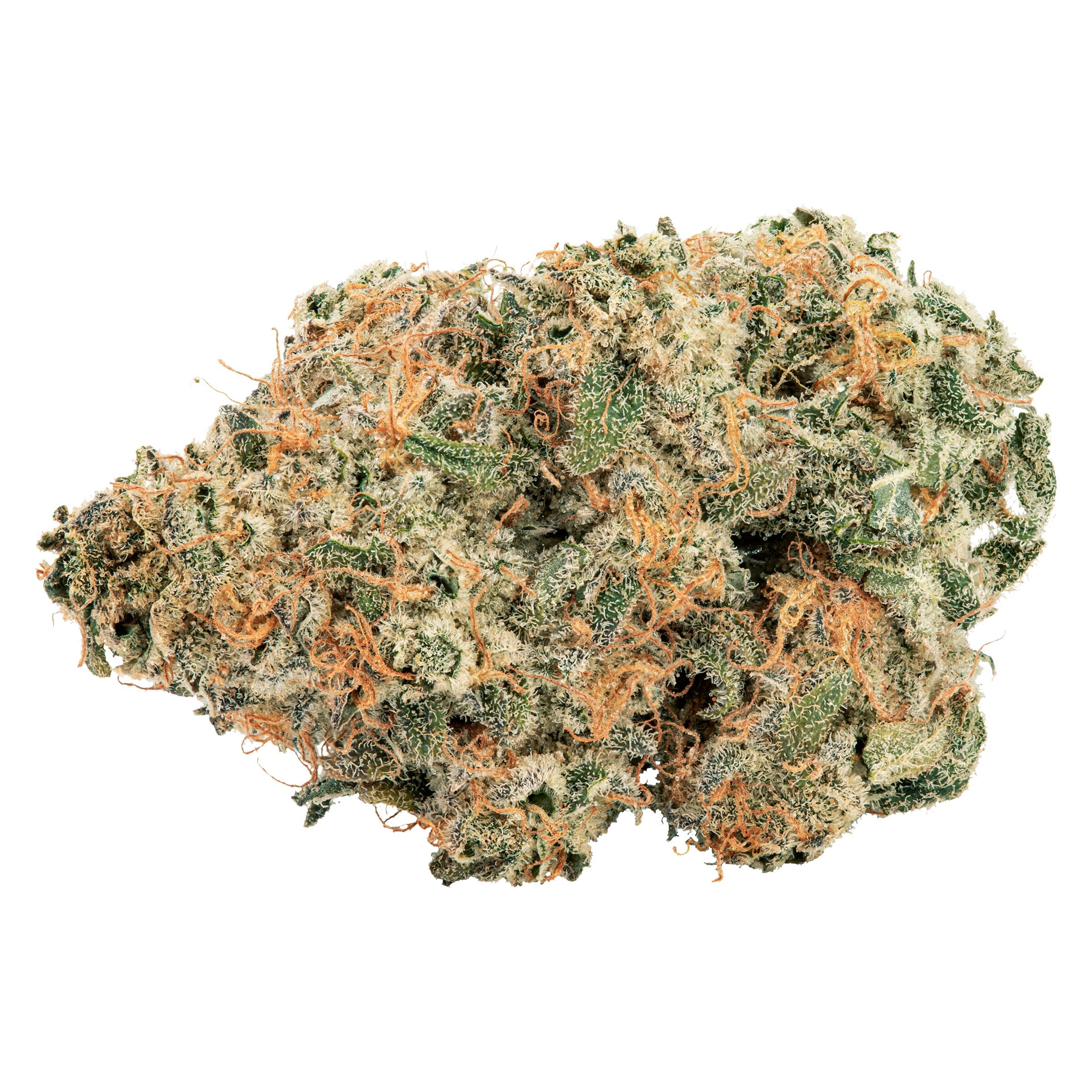 Bbob Purple Cherry Punch Indica