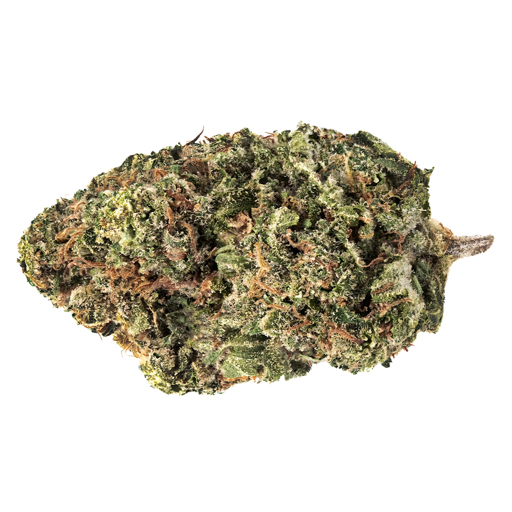 Jack Haze 2