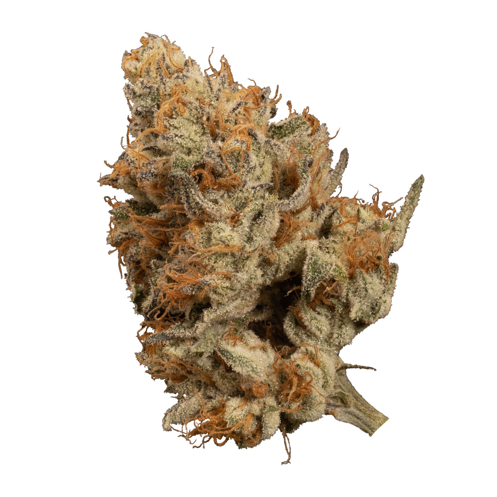 Bacio Punch #8 2
