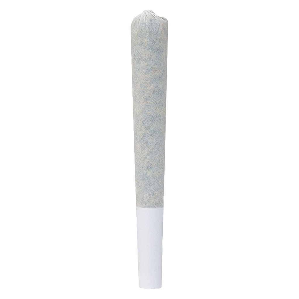 Bc Organic Dancehall Pre-Rolls