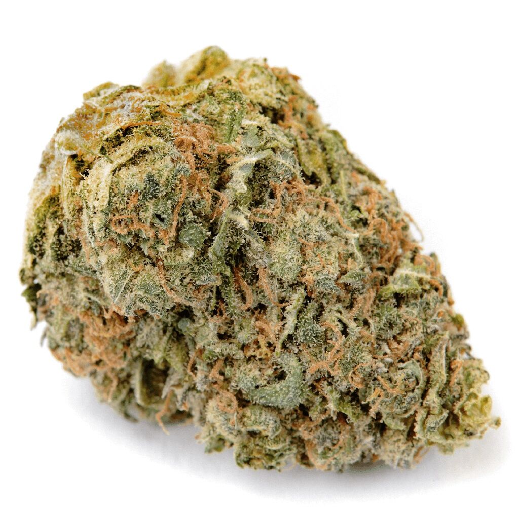 No. 402 Blueberry Kush 2