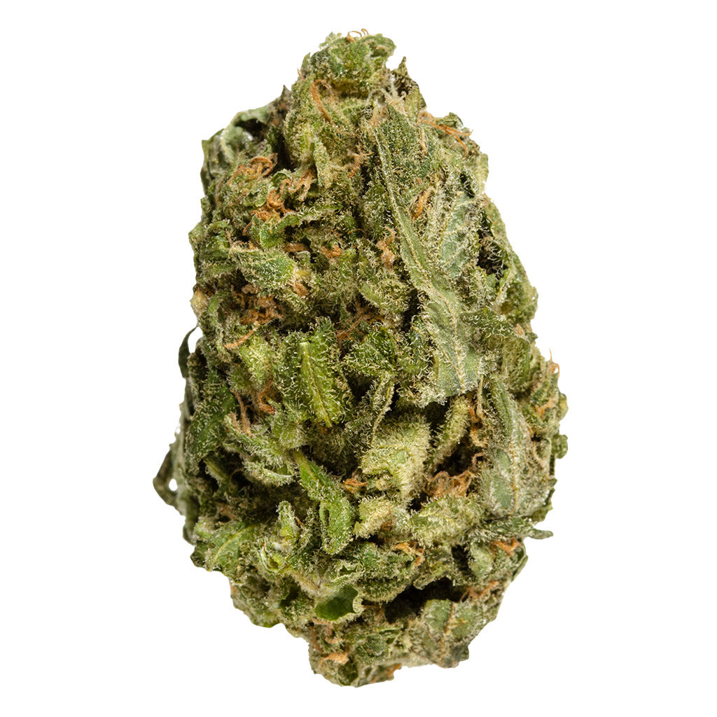 All Purpose Flower Sativa 2