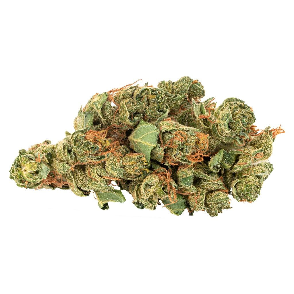 Sativa 5