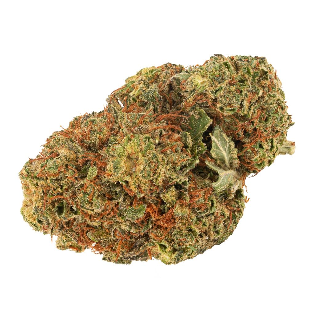 Indica 4