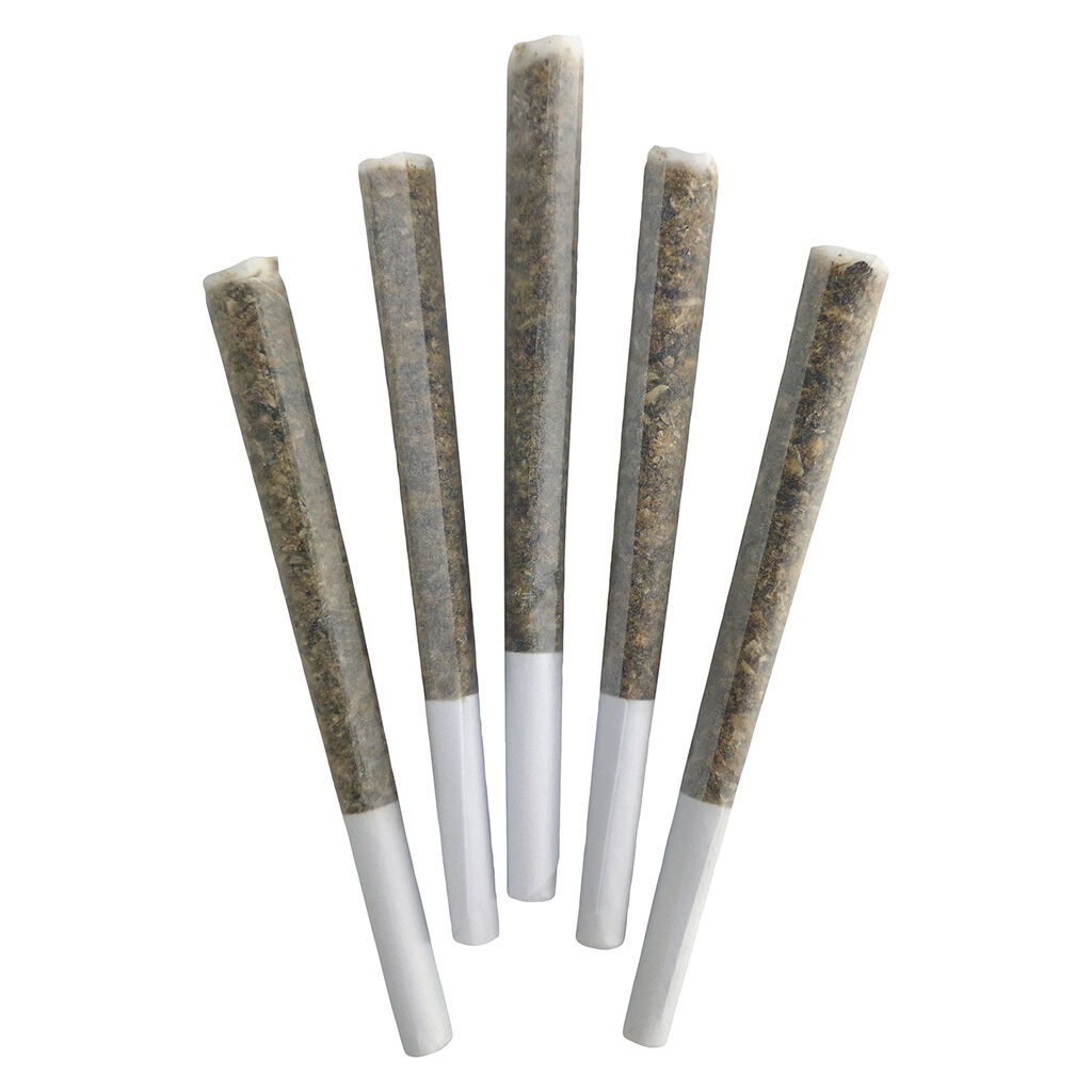 Iced Zuchi Pre-Rolls