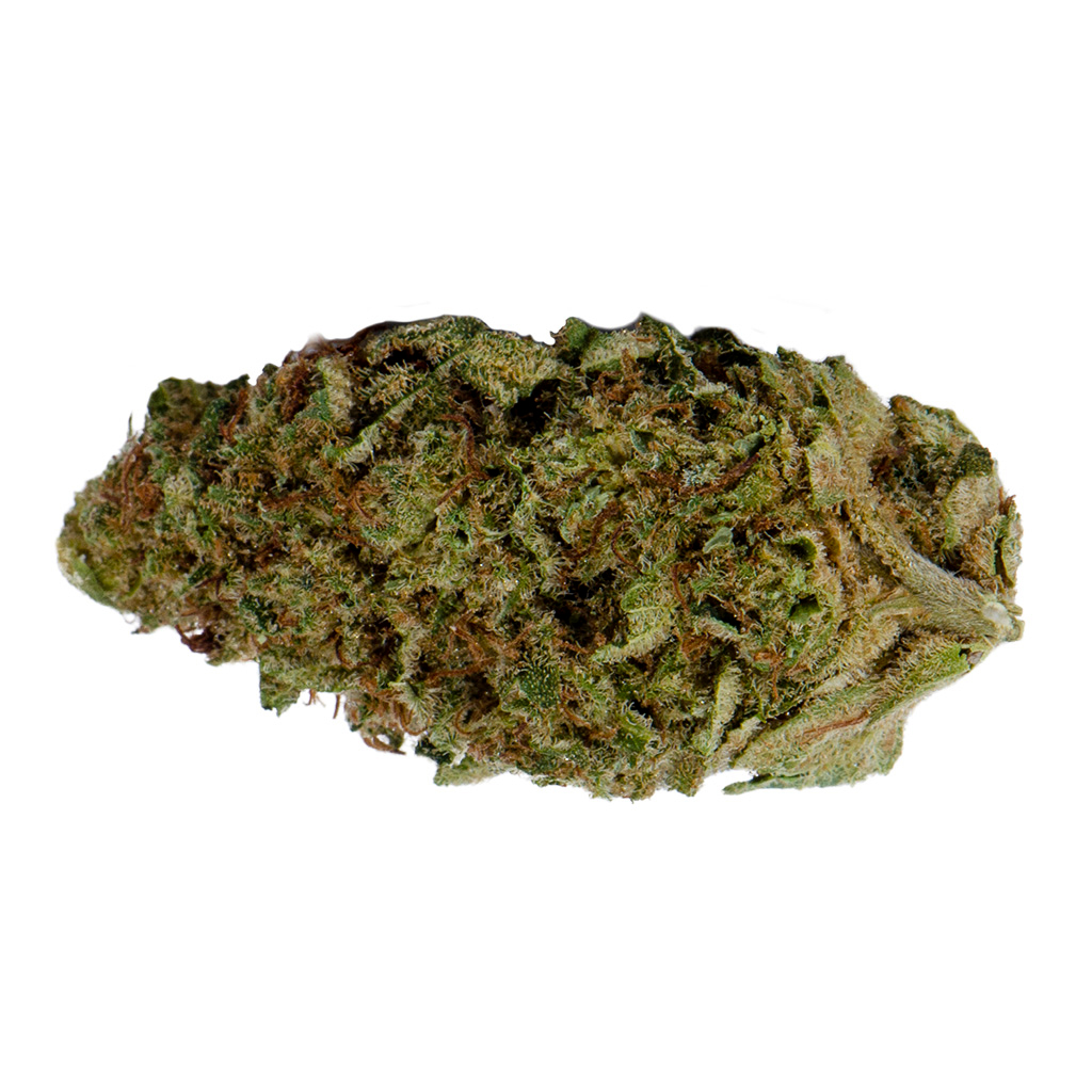 Os. Indica 2