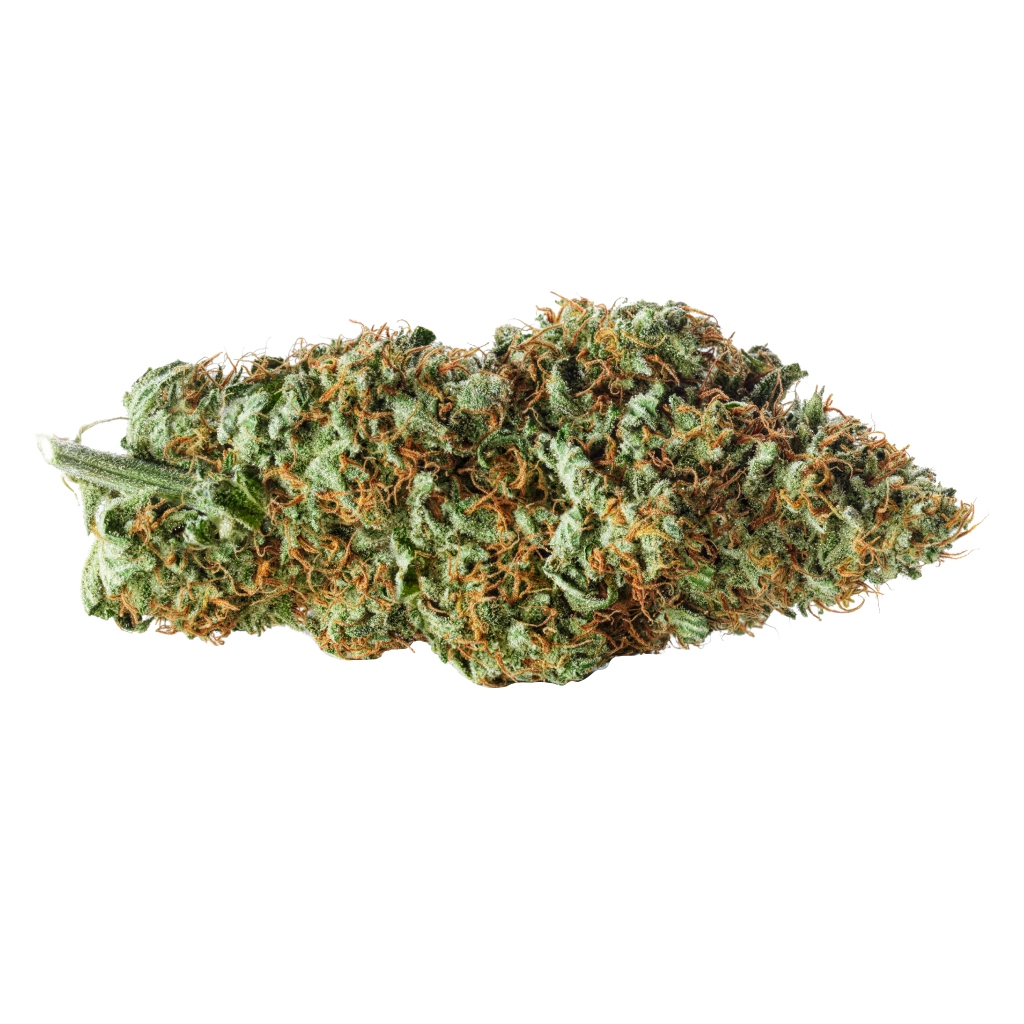 Lilac Diesel 4