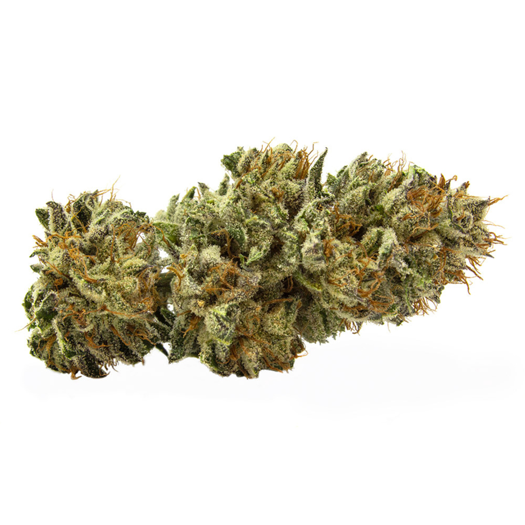 Orange Monkey 2