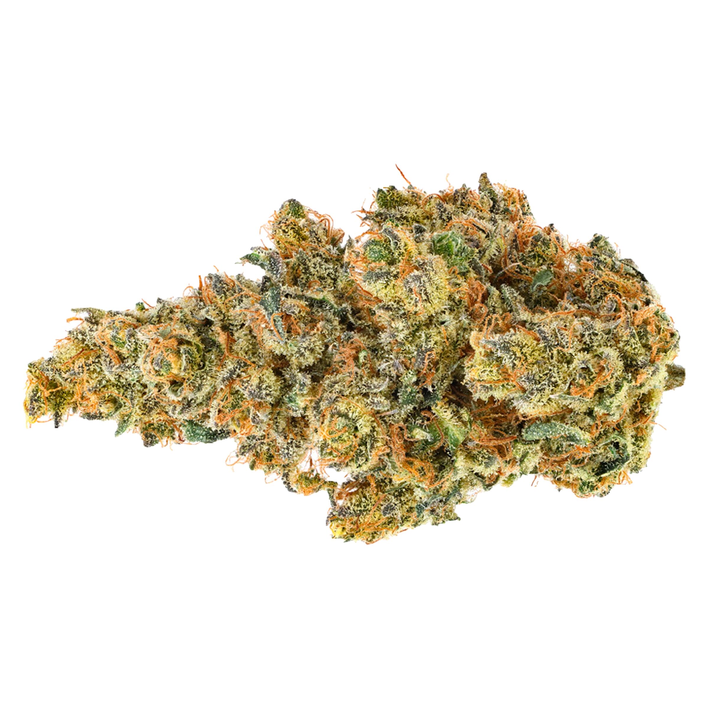 Bc Organic Dancehall