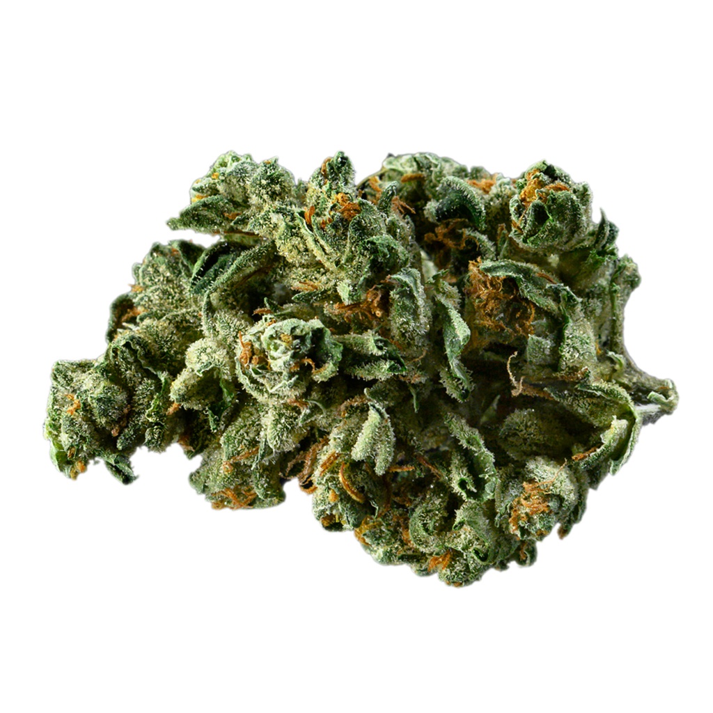 Alien Dawg
