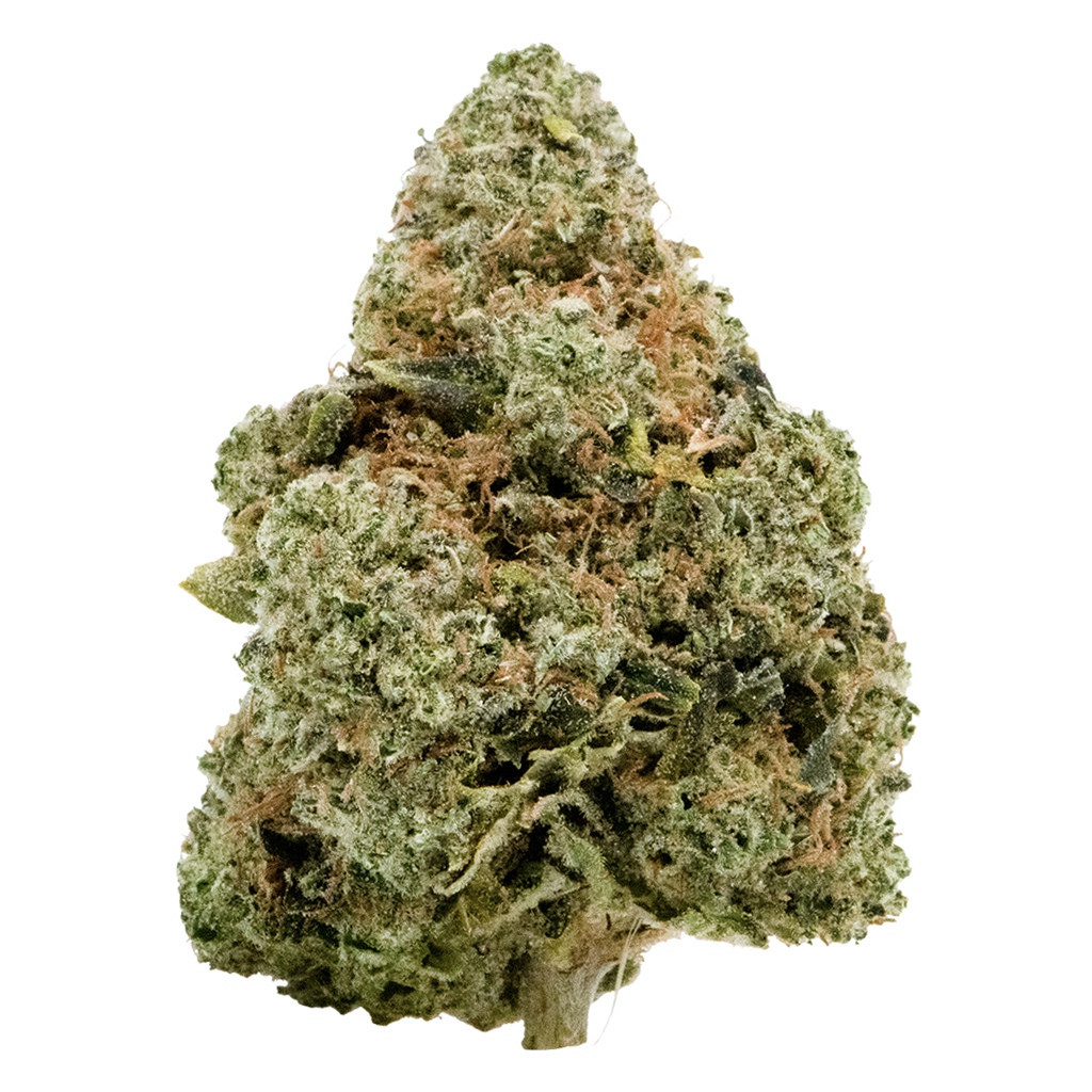 Gsc