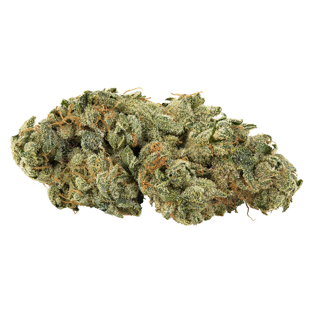 Holy mountain- gmo tropical reign 28g