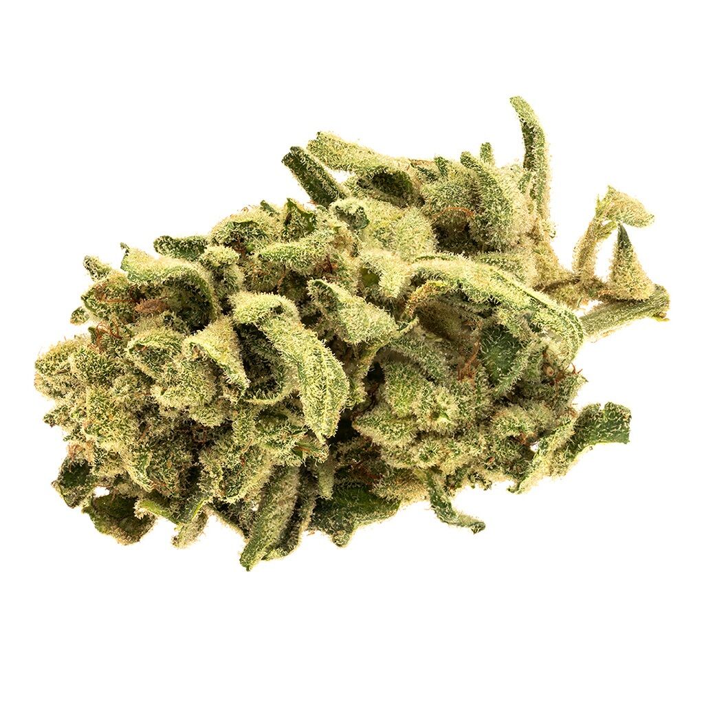 Monkey Glue 3