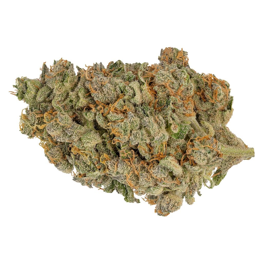 Glueberry Og 2
