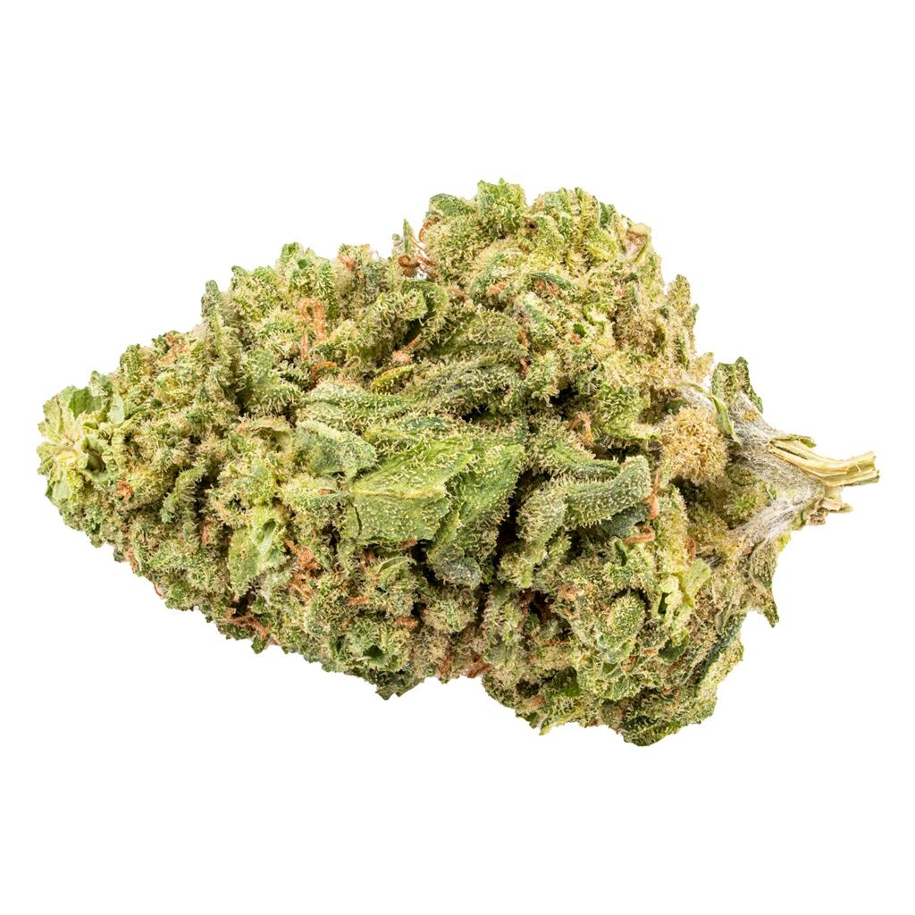 Sativa! 2