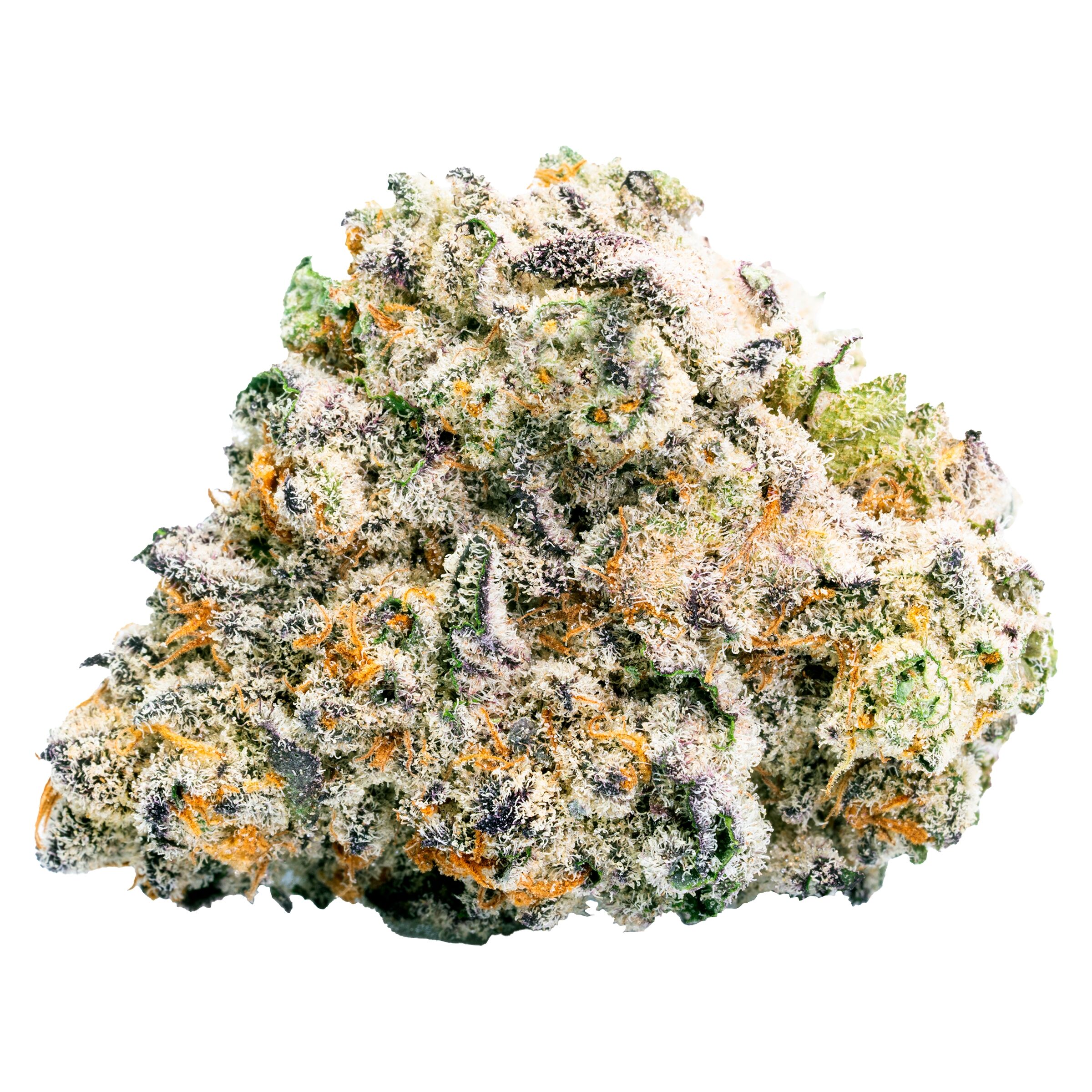 Guava Bomba