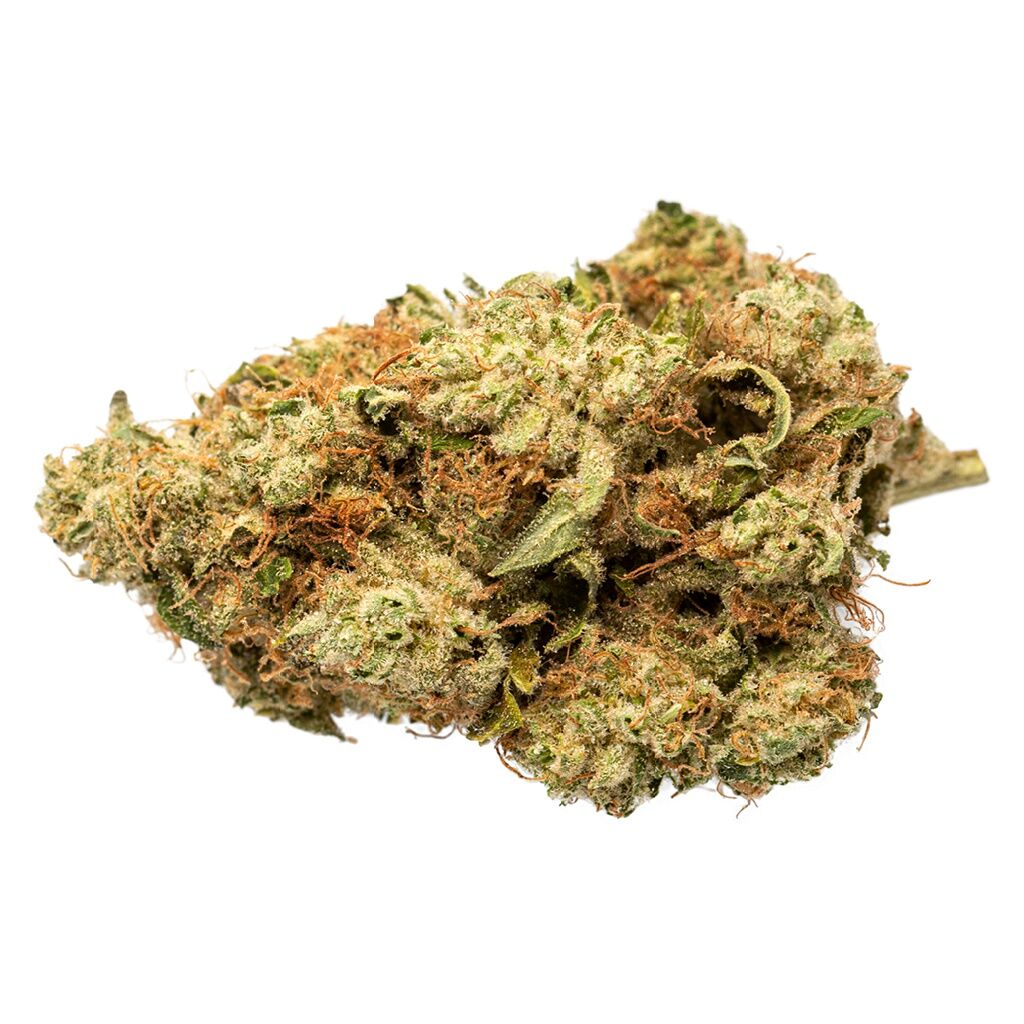 Indica