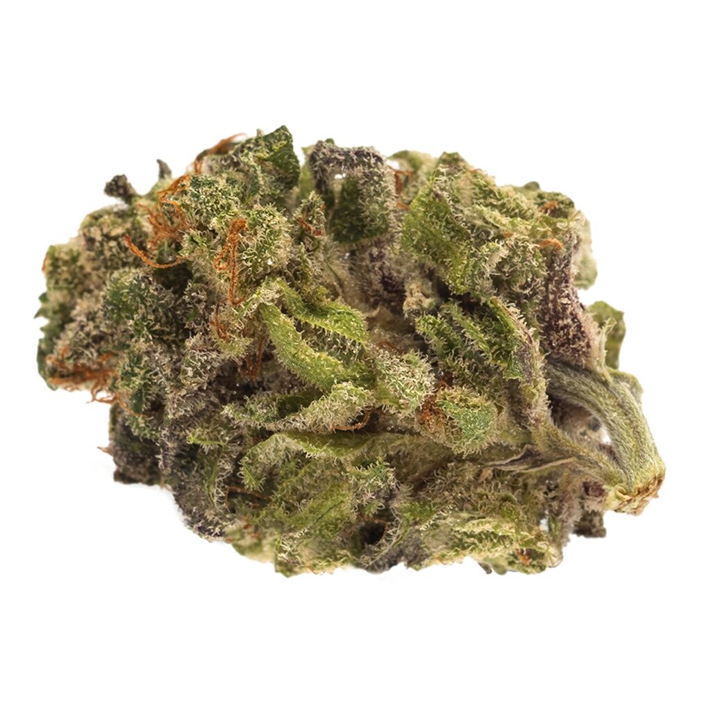 Twd Sativa 5