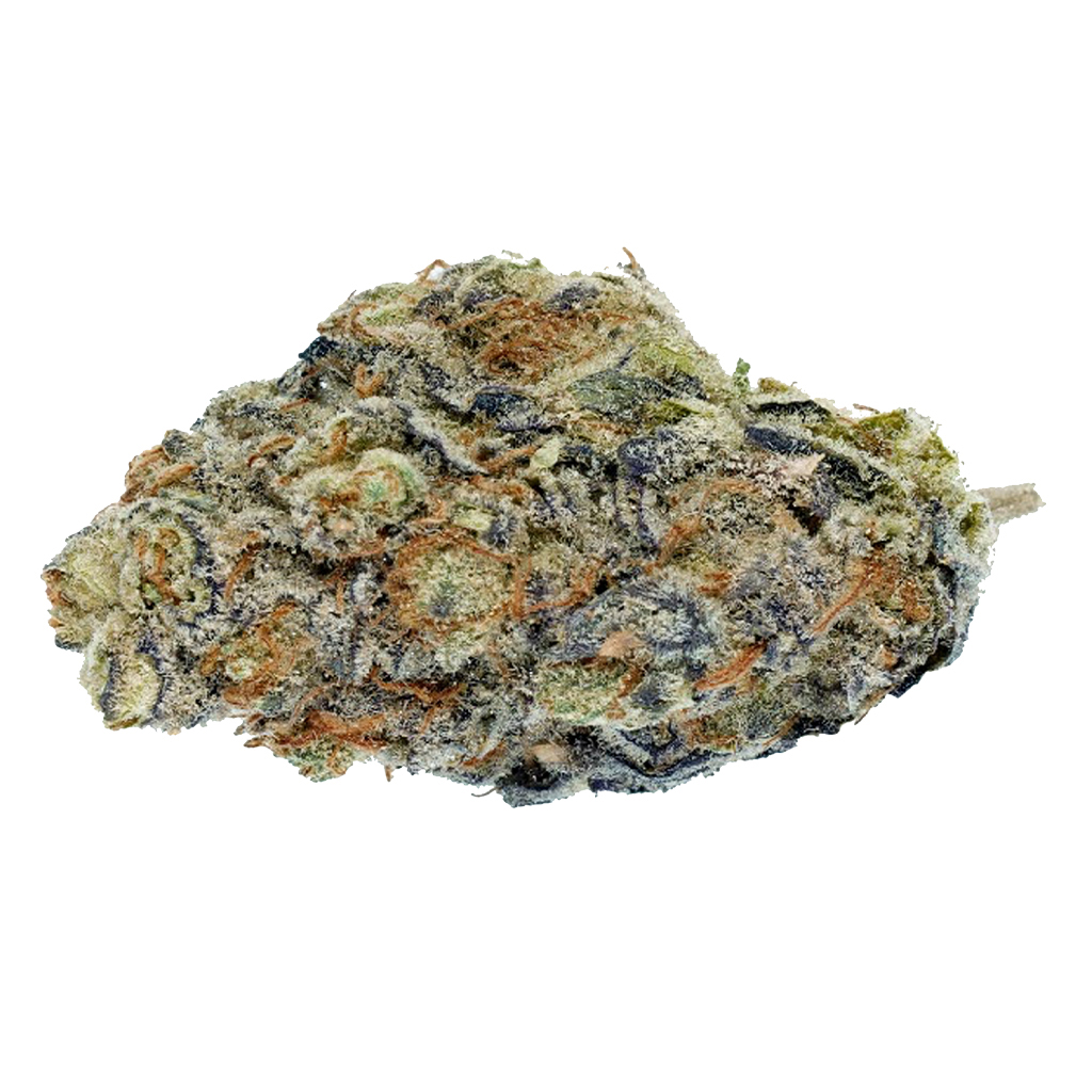 Purple Clementine
