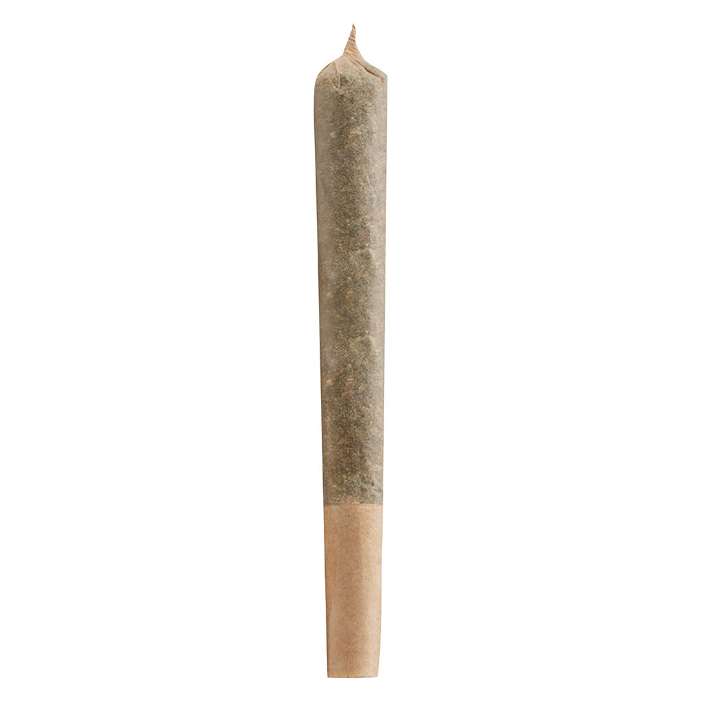 Glue99 Pre-Roll