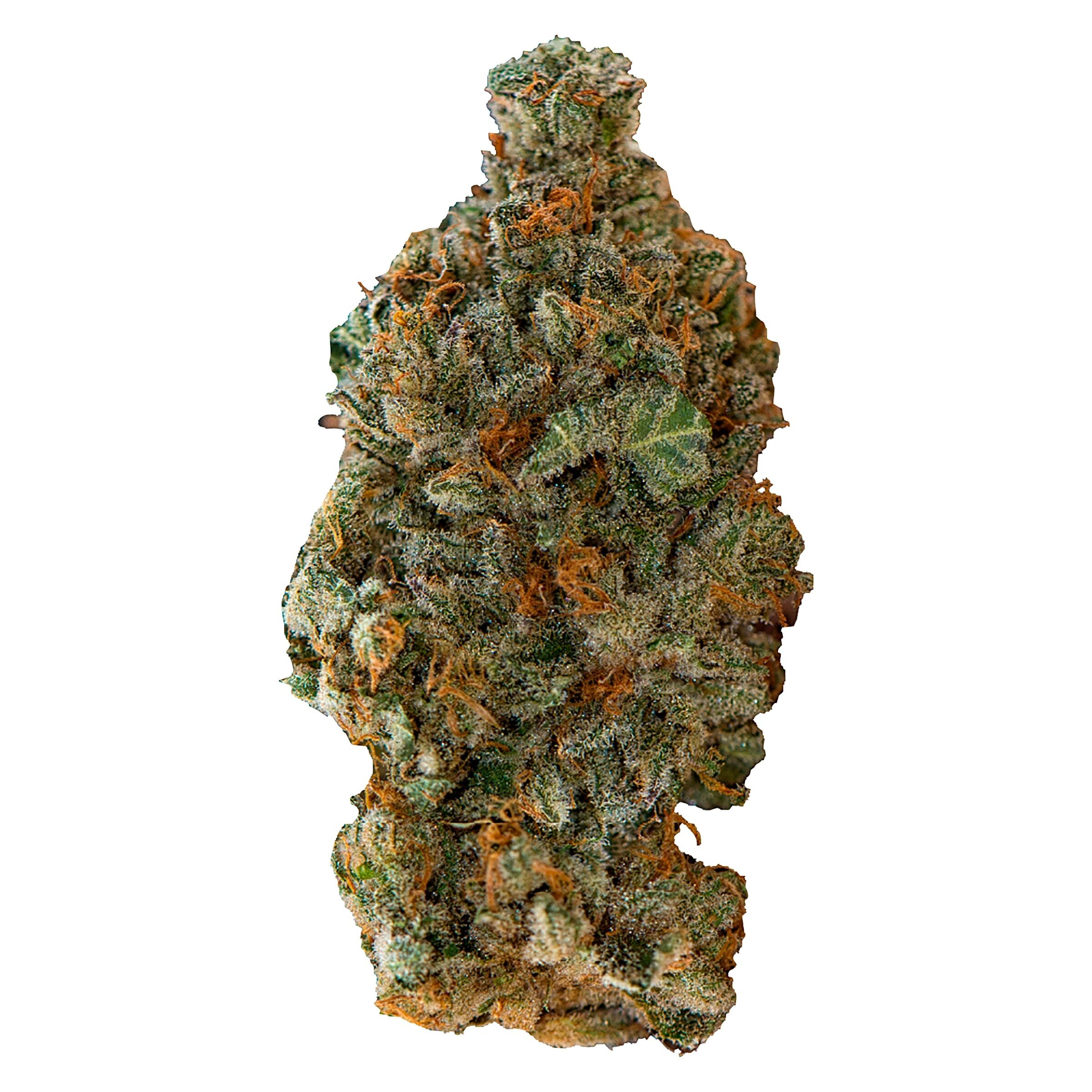 Gsc