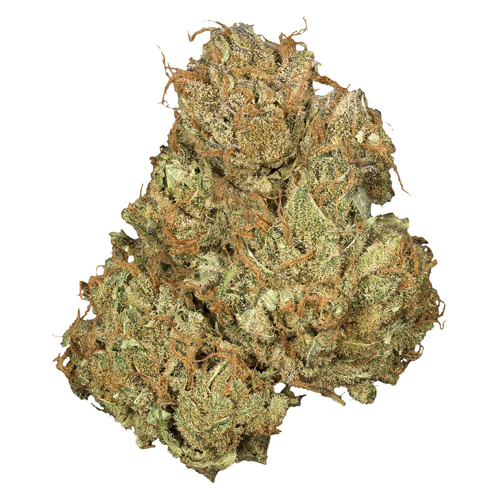 Jean Guy Cbd